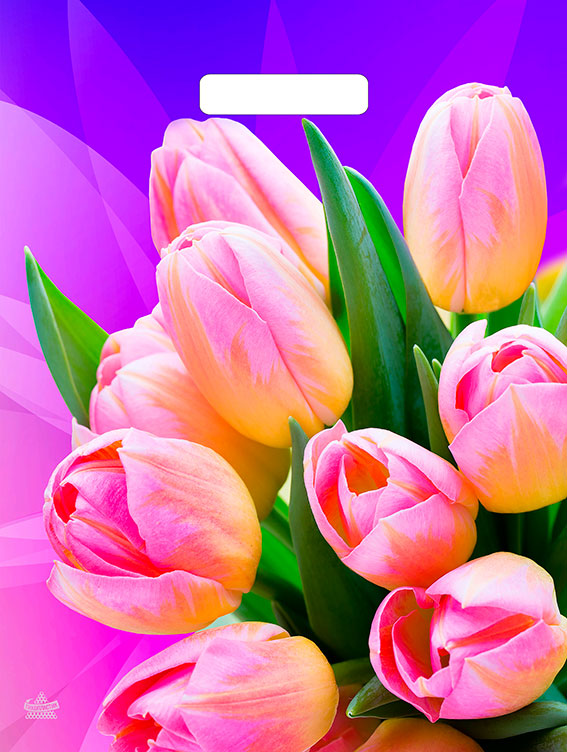 96e93c8c5d4411ebb2b694de80fd41b3_d5b49c0292d111ec9a7fe0d55e08c404