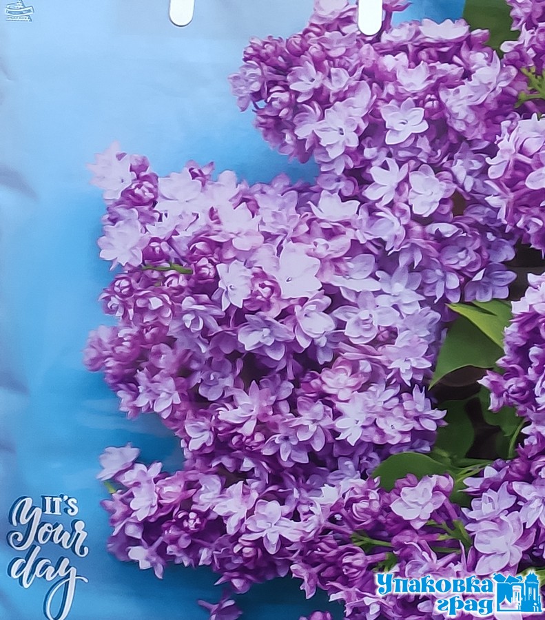 aa49d92f9a4511eab0e494de80fd41b3_6a99107eaf9e11eaa1065404a64acbe5