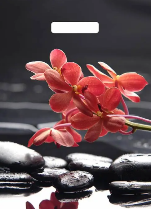 0fddf58c3cc811eab1f094de80fd41b3_5c2e54e6718111efb7fdb64495faf5b2