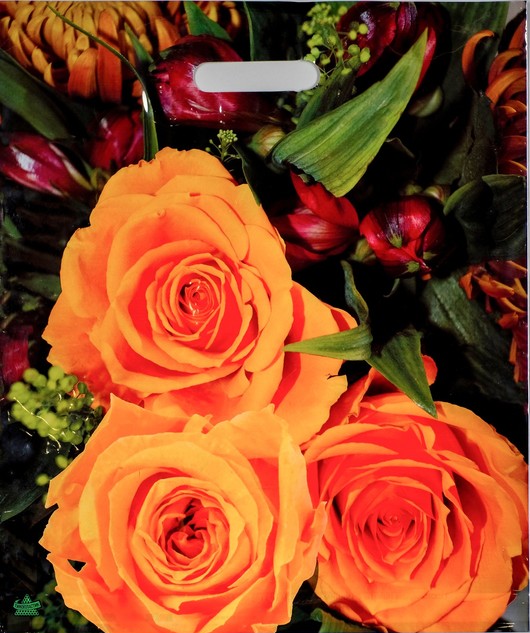 0fddf5903cc811eab1f094de80fd41b3_4fb7685eb45e11eaa2bb5404a64acbe5