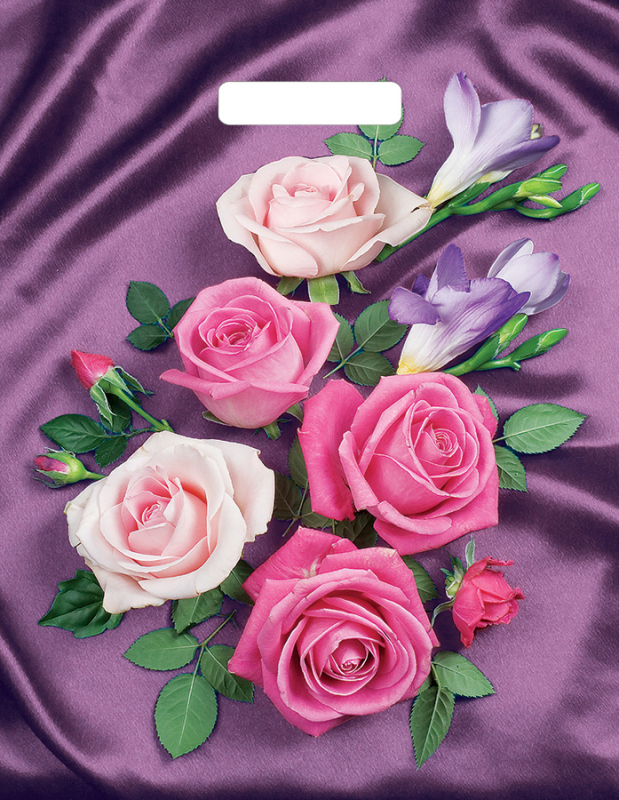 1f03dd3f673e11ea99fb94de80fd41b3_5e551a98f75c11ec9fb7e0d55e08c404