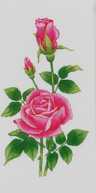 2770337bed0211efb802857f0c72fc8c_5db831d3f29211efb802857f0c72fc8c