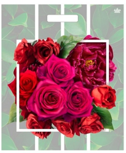 2f42655d70b411efb7fdb64495faf5b2_3d358db070e511efb7fdb64495faf5b2