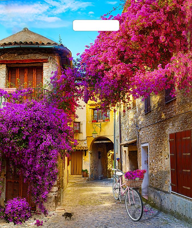 32eac69e4eb211e993e594de80fd41b3_bd3cbe1588d911e9956d5404a64acbe5