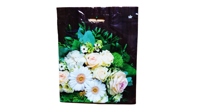 37445462fee011eab15e94de80fd41b3_3e5a44d2ef6811eb8d45e0d55e08c404