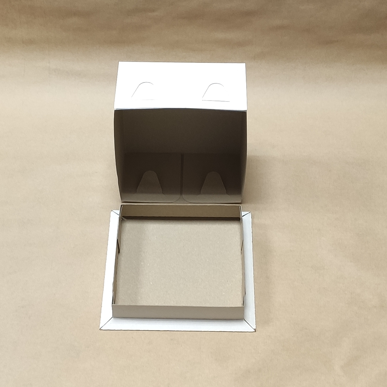 37962b04010e11ea9acc94de80fd41b3_3be169f7a56711eab6c65404a64acbe5-1