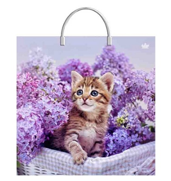 43ea8e5670b511efb7fdb64495faf5b2_2735a67770ea11efb7fdb64495faf5b2