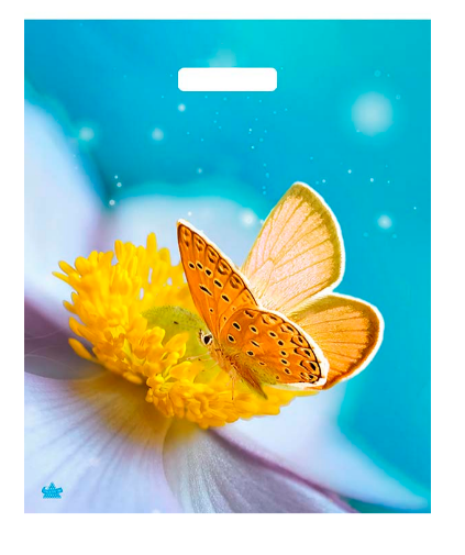 46a9eaa8320e11efb7fadef6d557c6e3_46a9eaa9320e11efb7fadef6d557c6e3