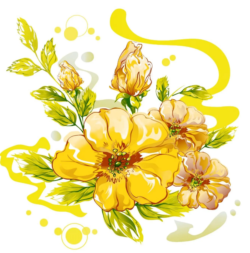 53fb626d270a11efb7fadef6d557c6e3_53fb626e270a11efb7fadef6d557c6e3