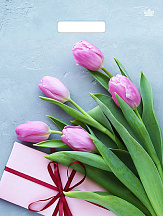 5468e2fb962011ed950894de80fd41b3_0d336ca59e0811eda7cbe0d55e08c404