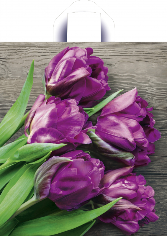 5468e302962011ed950894de80fd41b3_0d336cac9e0811eda7cbe0d55e08c404