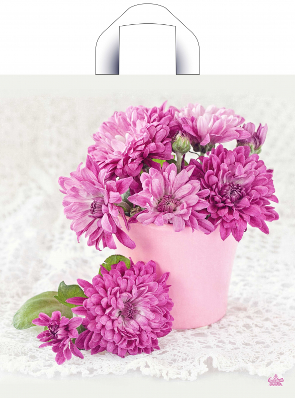 5468e303962011ed950894de80fd41b3_0d336cb09e0811eda7cbe0d55e08c404