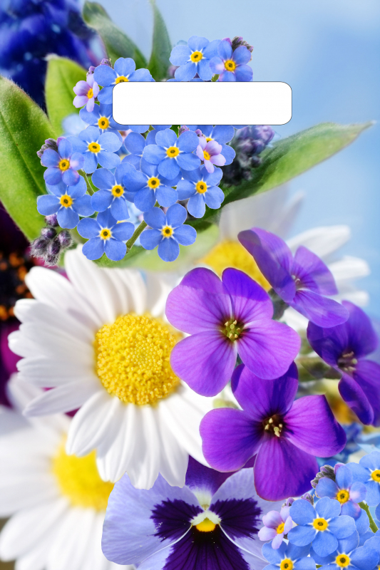 5468e30f962011ed950894de80fd41b3_0d336cbf9e0811eda7cbe0d55e08c404