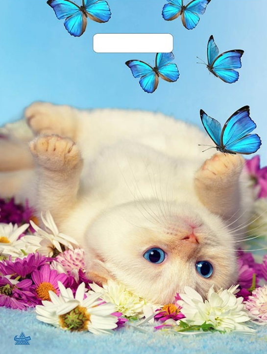 5705bcbfb4f711eeb7e9ffa317e667aa_a13c4b24b51d11eeb7e9ffa317e667aa