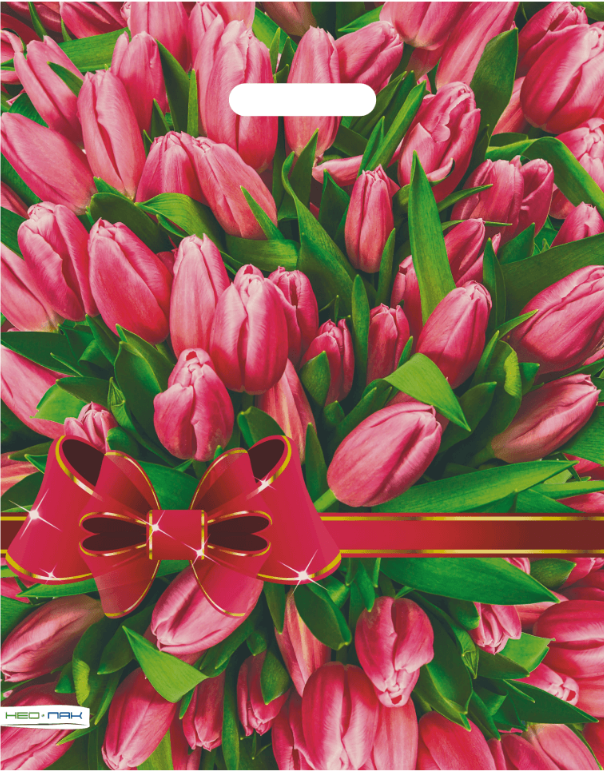 66055598af9411eeb7e9ffa317e667aa_b4eadfaf9d1311f0b81394118167ee0c