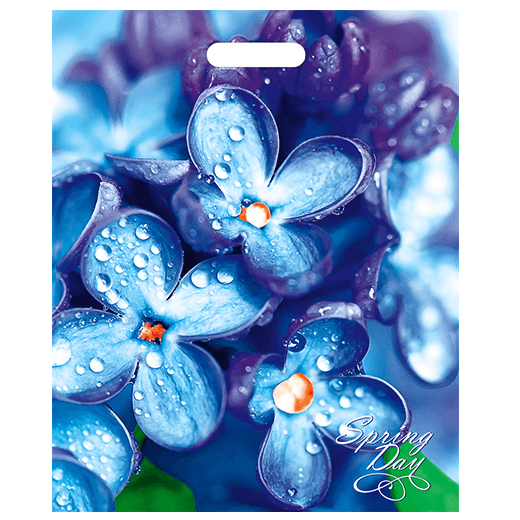 6c3a5dd9cd0111ec8f6994de80fd41b3_93d5a1fbd0e211ecbbf8e0d55e08c404