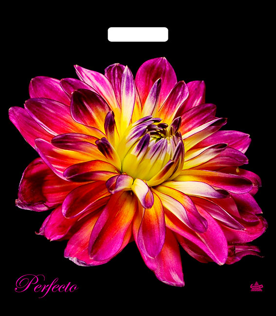 741ca6145d1911ebb2b694de80fd41b3_3cbcca79094a11ecae57e0d55e08c404