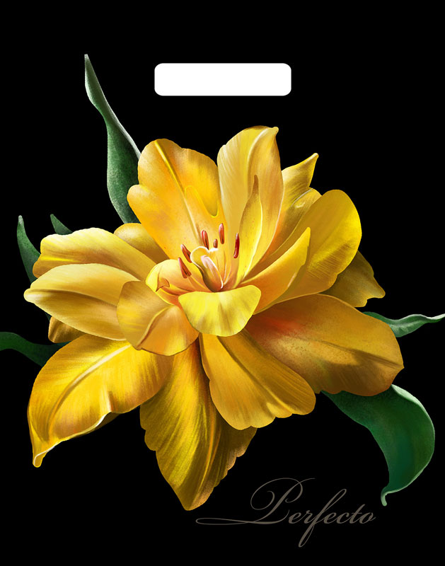 7555738f785011e9a8ce5404a64acbe5_bd3cbdf588d911e9956d5404a64acbe5