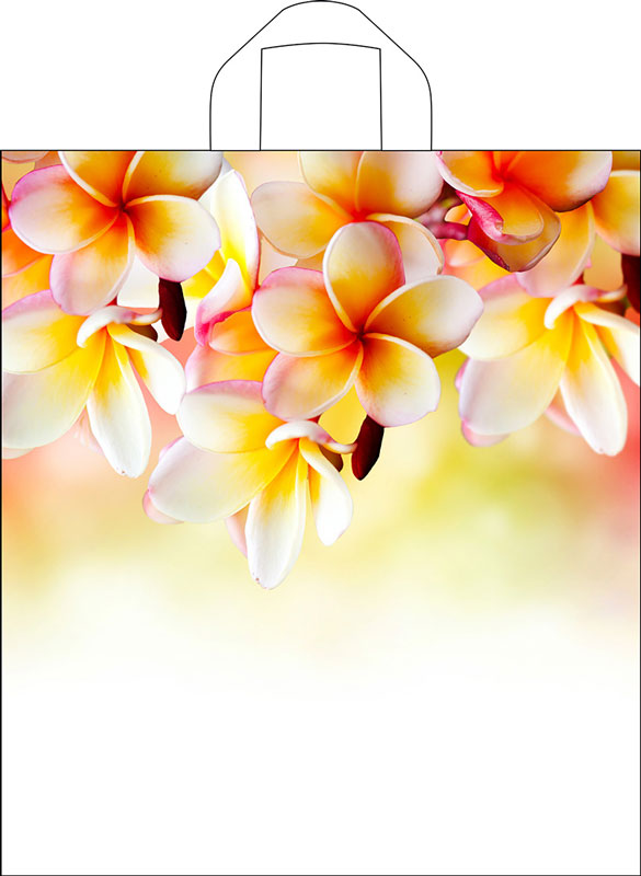 755573af785011e9a8ce5404a64acbe5_bd3cbe1a88d911e9956d5404a64acbe5-1