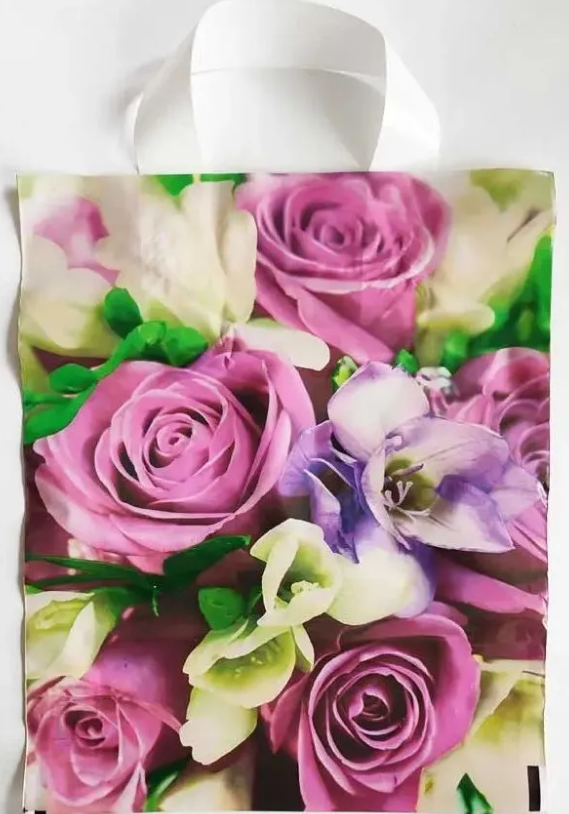 7a513918af9011eeb7e9ffa317e667aa_a67fe722b42e11eeb7e9ffa317e667aa