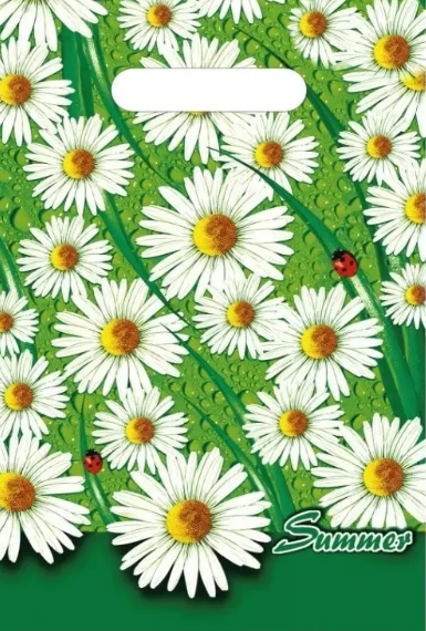 856267ada8fa11eda6e4e0d55e08c404_3caf1da8b0de11ed93e1e0d55e08c404-1