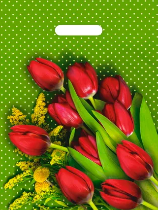 856267b3a8fa11eda6e4e0d55e08c404_3caf1daeb0de11ed93e1e0d55e08c404-1