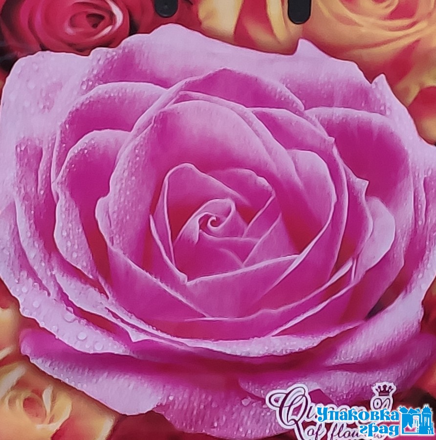 8c0fe50f8c2a11e9a90994de80fd41b3_4632eacaaf9911eaa1065404a64acbe5-1