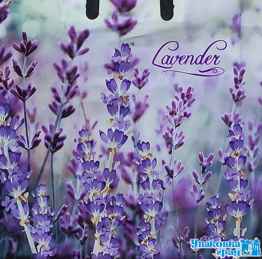 8c0fe5108c2a11e9a90994de80fd41b3_4632eacbaf9911eaa1065404a64acbe5