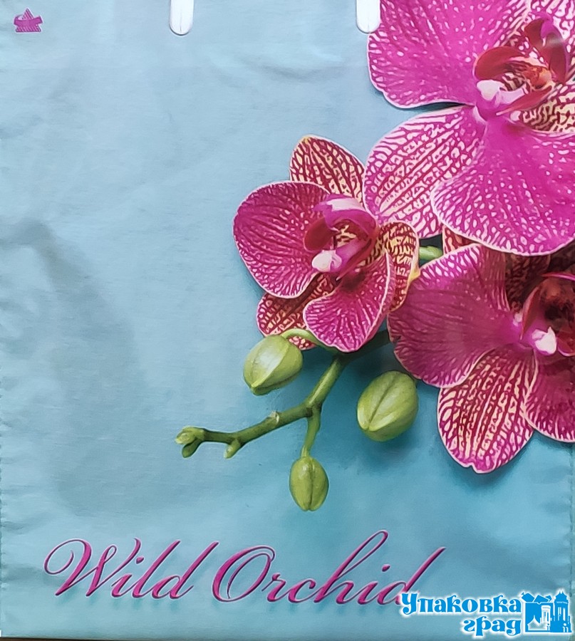 90dbfe434ed511e993e594de80fd41b3_6a99107aaf9e11eaa1065404a64acbe5