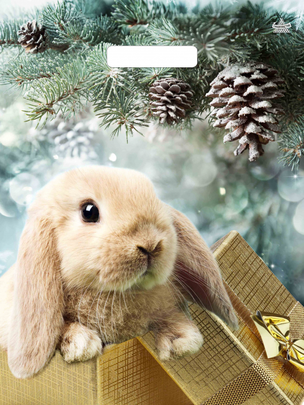 90e36522438a11edb86b94de80fd41b3_ec39fc5e445711eda4c7e0d55e08c404-2