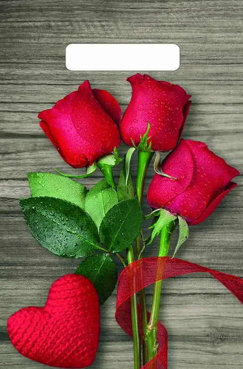 9a751fc470bb11efb7fdb64495faf5b2_21bfd02470ee11efb7fdb64495faf5b2