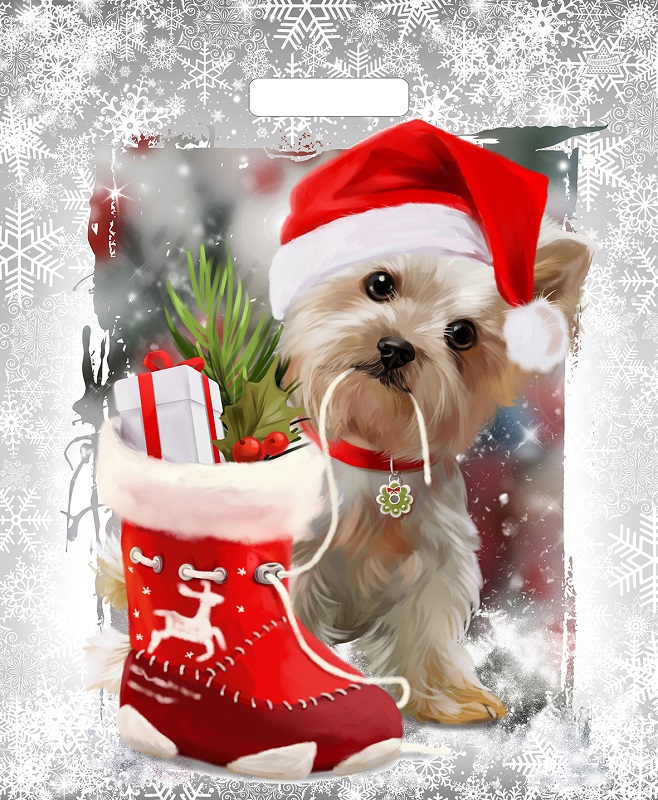 9cf05b4f35da11e98d37b42e991f5b58_6dbcc292272f11ec816ce0d55e08c404-1