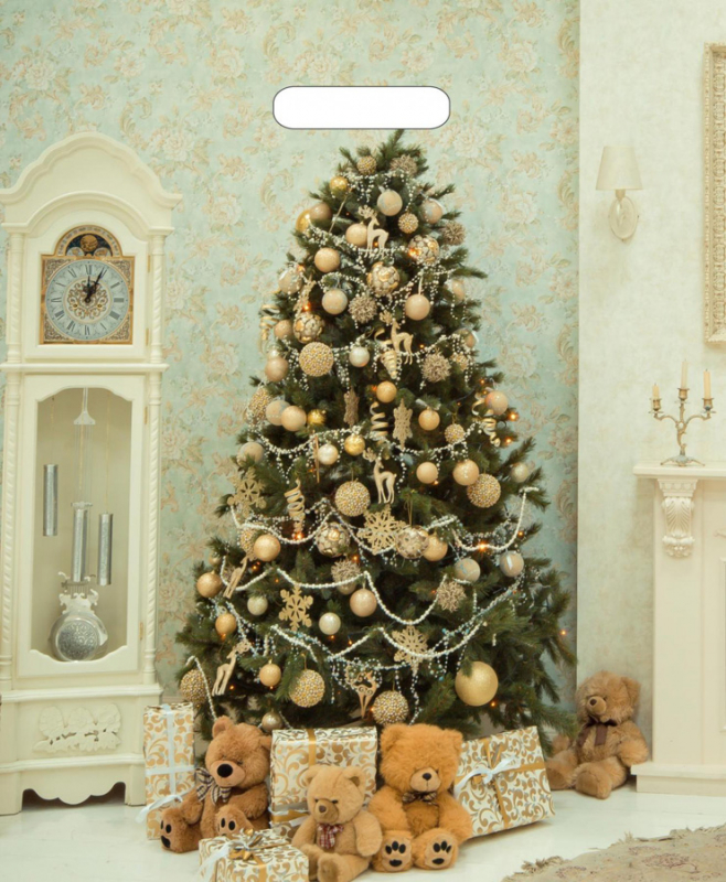 9cf05b5235da11e98d37b42e991f5b58_6dbcc284272f11ec816ce0d55e08c404-1