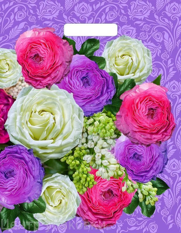 9cf05ba035da11e98d37b42e991f5b58_762ee98dee8f11ebad1fe0d55e08c404