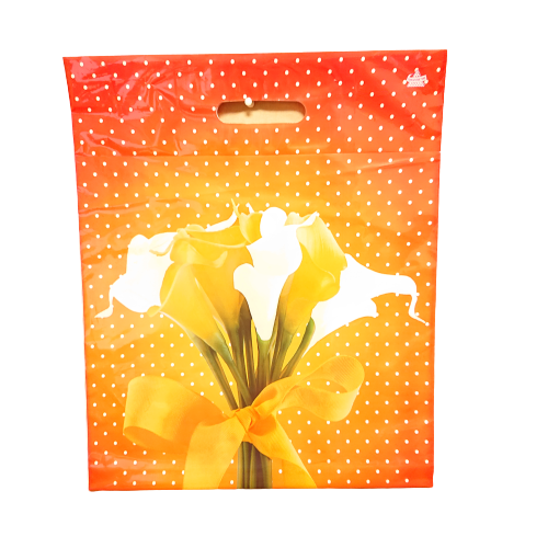 9cf05be035da11e98d37b42e991f5b58_186a4300c00b11eaaba25404a64acbe5-1