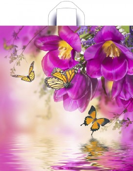 a39866e135da11e98d37b42e991f5b58_70f43551a96d11eaabb85404a64acbe5