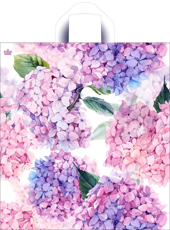 a398670435da11e98d37b42e991f5b58_d5b49c1592d111ec9a7fe0d55e08c404