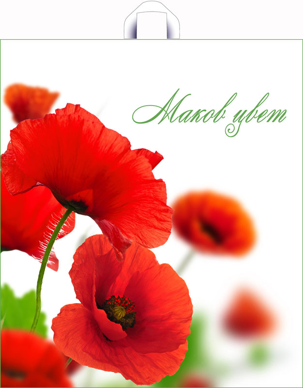 a398670635da11e98d37b42e991f5b58_bd3cbe1b88d911e9956d5404a64acbe5