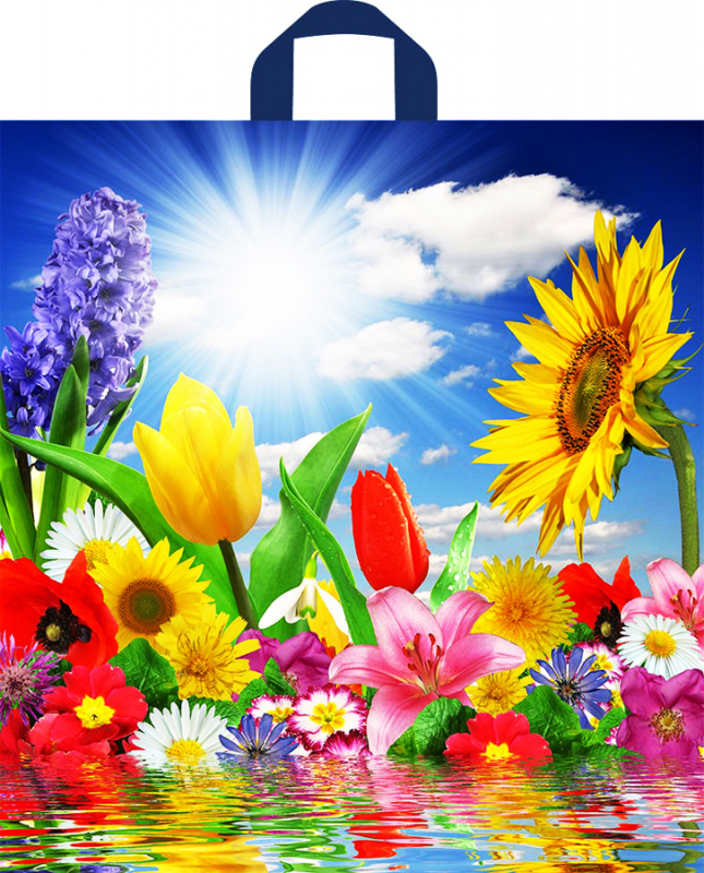 a398671335da11e98d37b42e991f5b58_0d336cb49e0811eda7cbe0d55e08c404