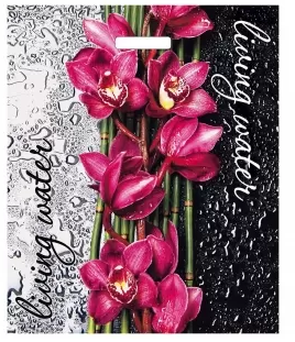 a398674535da11e98d37b42e991f5b58_78f768aa719b11efb7fdb64495faf5b2