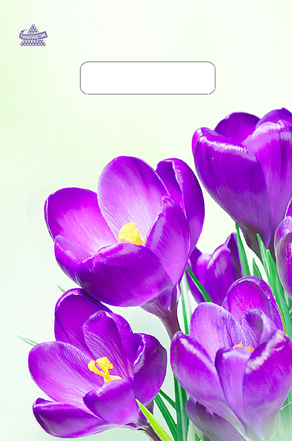 a5689aeef68911ec84cb94de80fd41b3_5e551ab3f75c11ec9fb7e0d55e08c404-1