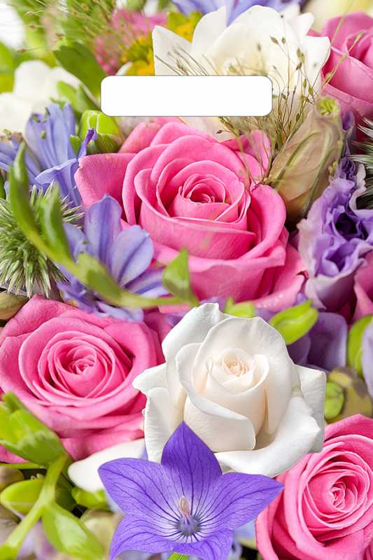 a5689aeff68911ec84cb94de80fd41b3_5e551ab4f75c11ec9fb7e0d55e08c404-1