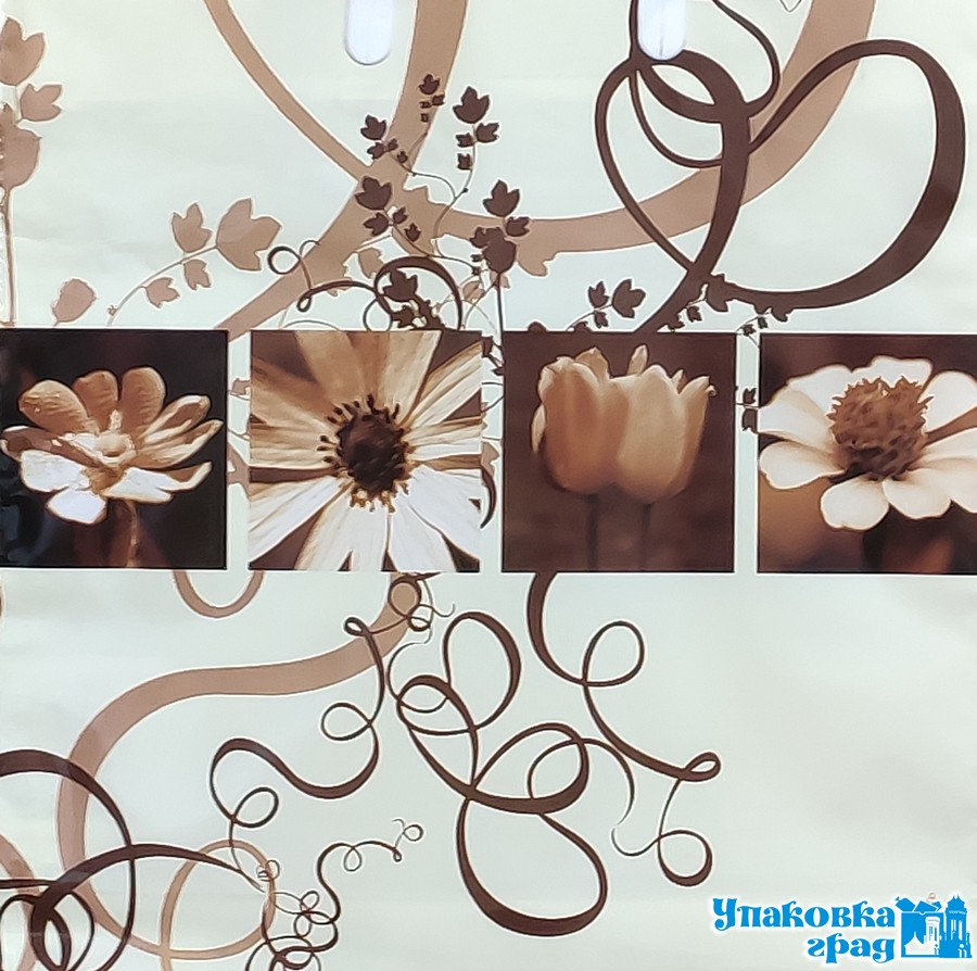 aa5cd46035da11e98d37b42e991f5b58_4632eaefaf9911eaa1065404a64acbe5