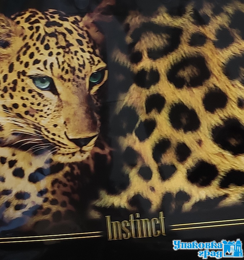 b2f0431b55d111e9a14f94de80fd41b3_4632eadbaf9911eaa1065404a64acbe5