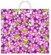 b2f0431e55d111e9a14f94de80fd41b3_9671c51fa61c11eab1e05404a64acbe5-1