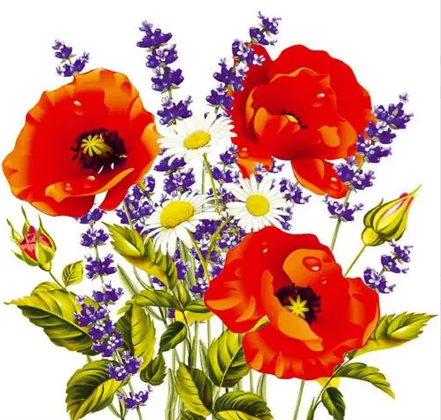 bda086c58adf11ecb7ac94de80fd41b3_75f2aa9e8e8311eeb7e6c96818646f1d-1