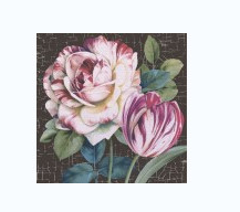 bf5051e7ed0511efb802857f0c72fc8c_c4a30dc2f33011efb802857f0c72fc8c