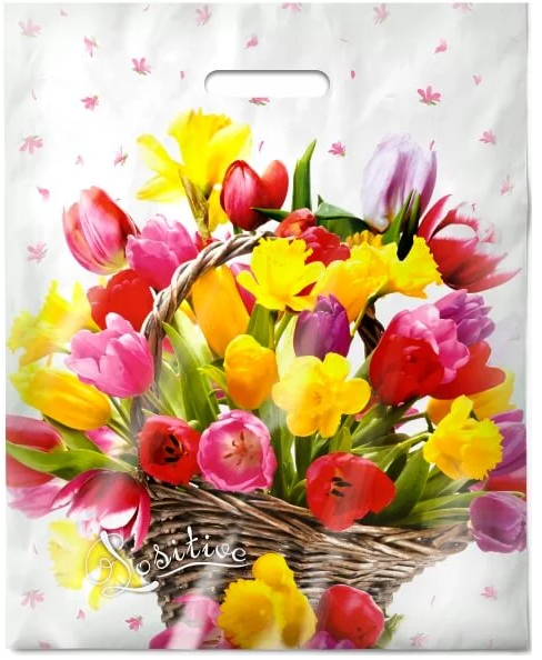 c2908e61922511edb82594de80fd41b3_ad408b36955011ed93fae0d55e08c404