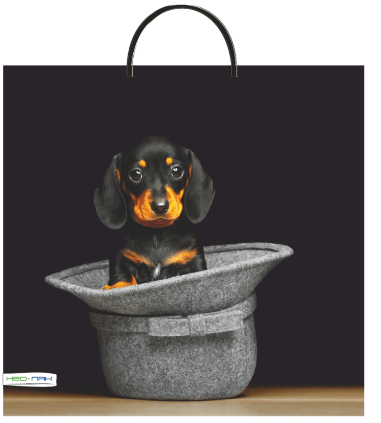 cae07799ebfe11eeb7eedc49aac828c9_c7c1ea1cf65211eeb7eedc49aac828c9