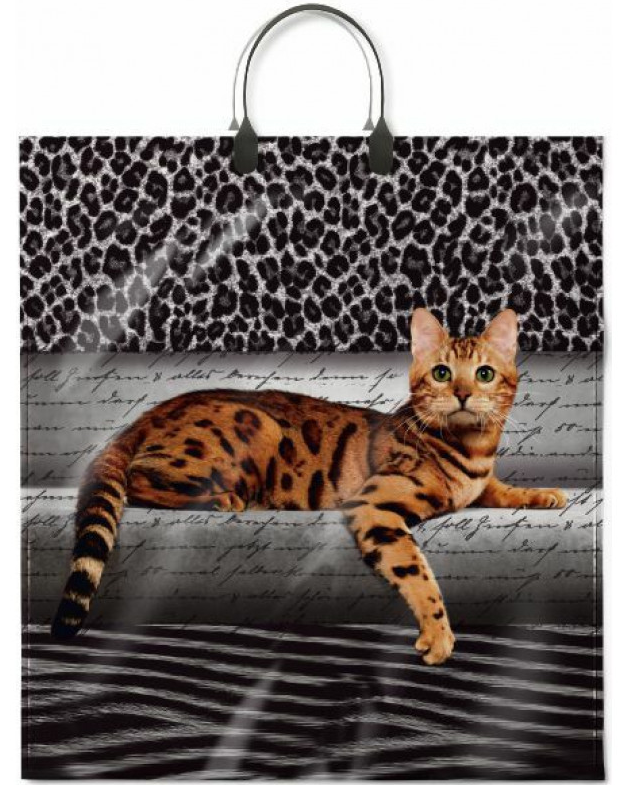 d34ddeab0fee11eeb7d5bd038b969ae0_4678dfcd149211eeb7d5bd038b969ae0